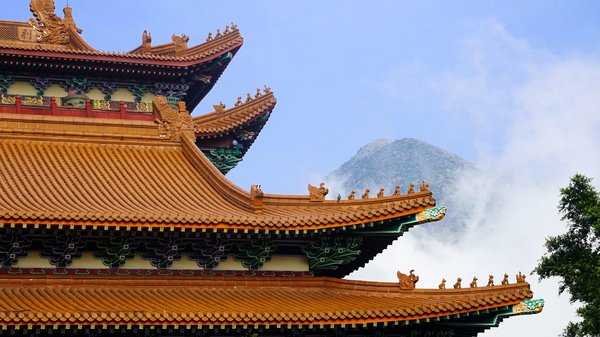 Quelles sont les meilleures façons d'utiliser les graines de lin pour la perte de poids et la santé ?